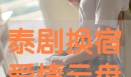 爱情在线 在线观看,浪漫邂逅，网络情深