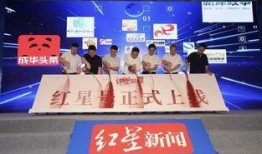 红星新闻爆料费多少钱一次,揭秘一次爆料费用内幕